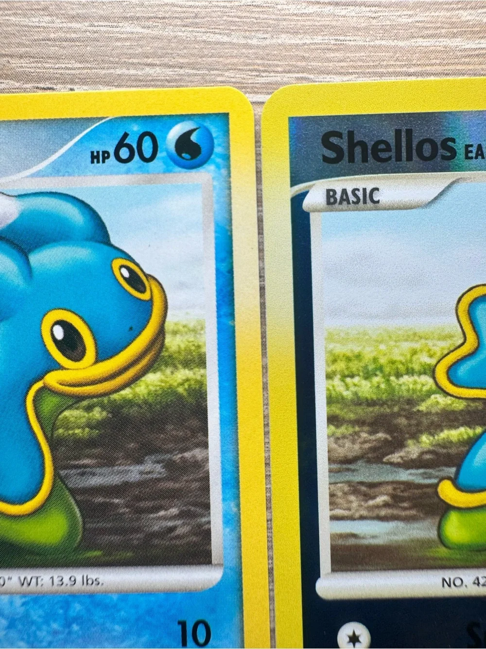 Shellos East Sea #73/Pokemon Majestic Dawn